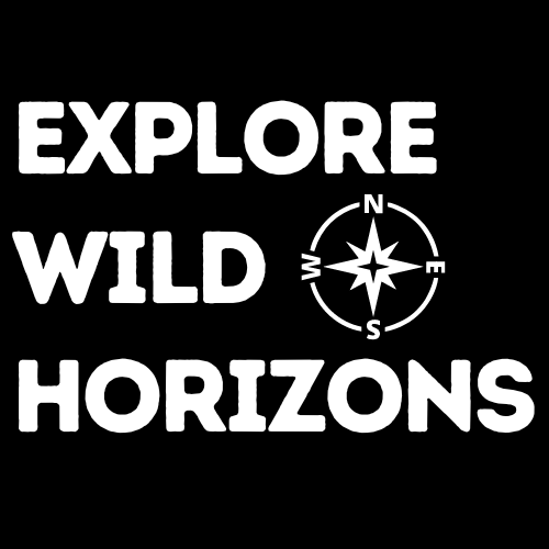 Explore Wild Horizons